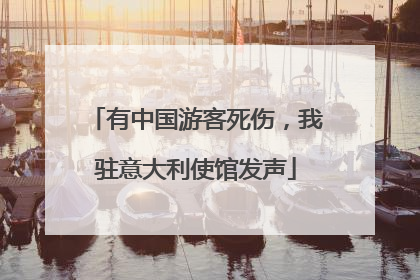 有中国游客死伤，我驻意大利使馆发声