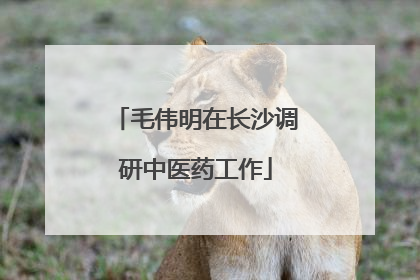 毛伟明在长沙调研中医药工作