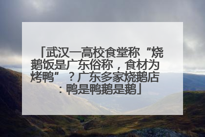 武汉一高校食堂称“烧鹅饭是广东俗称，食材为烤鸭”？广东多家烧鹅店：鸭是鸭鹅是鹅