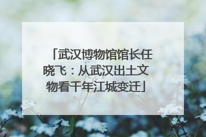 武汉博物馆馆长任晓飞：从武汉出土文物看千年江城变迁