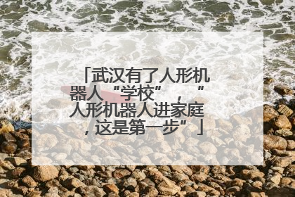 武汉有了人形机器人“学校”，“人形机器人进家庭，这是第一步”