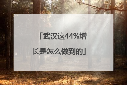 武汉这44%增长是怎么做到的