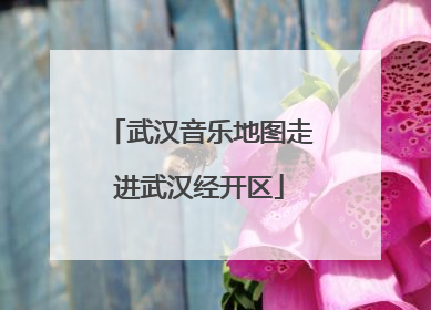 武汉音乐地图走进武汉经开区