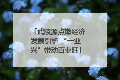 武陵源点燃经济发展引擎 “一业兴”带动百业旺