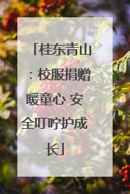 桂东青山：校服捐赠暖童心 安全叮咛护成长