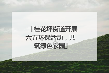 桂花坪街道开展六五环保活动，共筑绿色家园