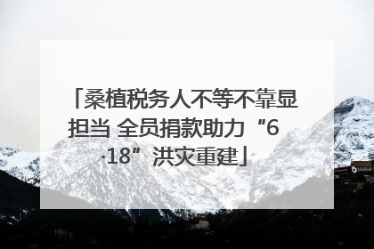 桑植税务人不等不靠显担当 全员捐款助力“6·18”洪灾重建
