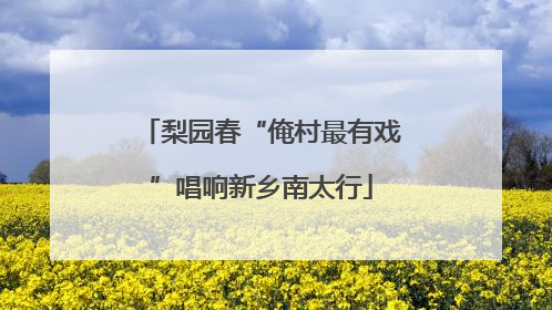 梨园春“俺村最有戏”唱响新乡南太行