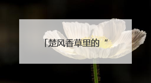 楚风香草里的“童”行记 非遗馆的双节奇遇