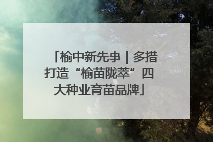 榆中新先事｜多措打造“榆苗陇萃”四大种业育苗品牌