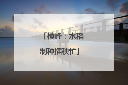 横峰：水稻制种插秧忙