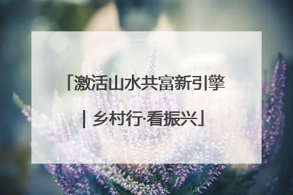 激活山水共富新引擎｜乡村行·看振兴