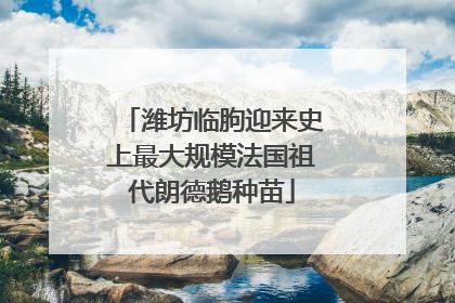 潍坊临朐迎来史上最大规模法国祖代朗德鹅种苗