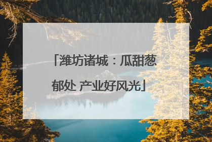 潍坊诸城：瓜甜葱郁处 产业好风光