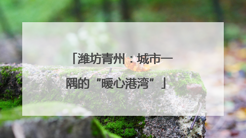 潍坊青州：城市一隅的“暖心港湾”