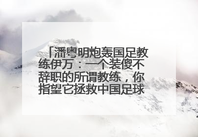 潘粤明炮轰国足教练伊万：一个装傻不辞职的所谓教练，你指望它拯救中国足球！此前曾多次发文评价国足