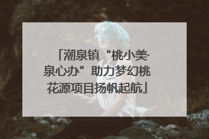 潮泉镇“桃小美·泉心办”助力梦幻桃花源项目扬帆起航