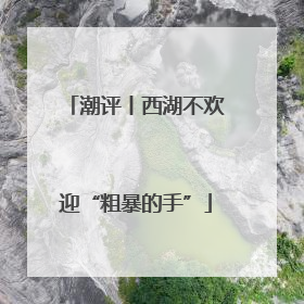 潮评丨西湖不欢迎“粗暴的手”