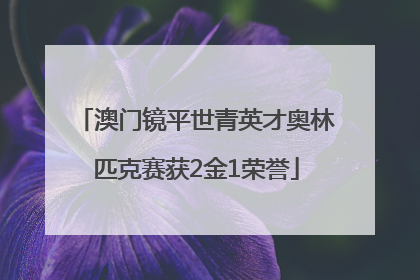 澳门镜平世青英才奥林匹克赛获2金1荣誉
