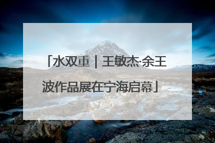 水双重｜王敏杰·余王波作品展在宁海启幕