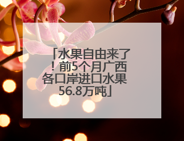 水果自由来了！前5个月广西各口岸进口水果56.8万吨