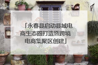 永春县启动县域电商生态圈打造暨跨境电商集聚区创建