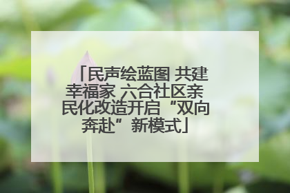 民声绘蓝图 共建幸福家 六合社区亲民化改造开启“双向奔赴”新模式