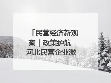 民营经济新观察｜政策护航 河北民营企业激发新“冀”遇