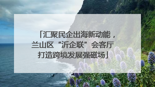 汇聚民企出海新动能，兰山区“沂企联”会客厅打造跨境发展强磁场