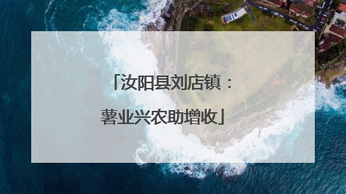 汝阳县刘店镇：薯业兴农助增收