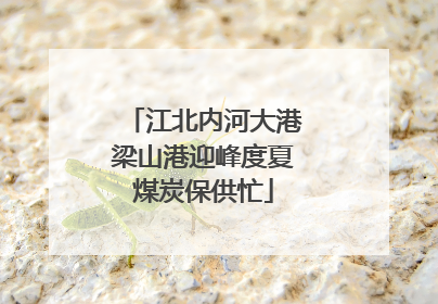 江北内河大港梁山港迎峰度夏煤炭保供忙