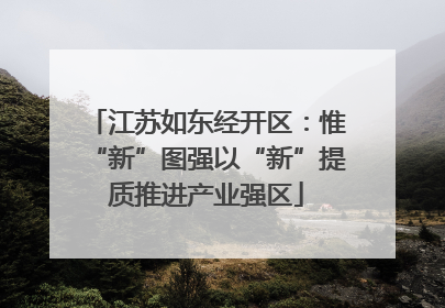 江苏如东经开区：惟“新”图强以“新”提质推进产业强区