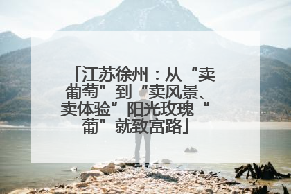 江苏徐州：从“卖葡萄”到“卖风景、卖体验”阳光玫瑰“葡”就致富路