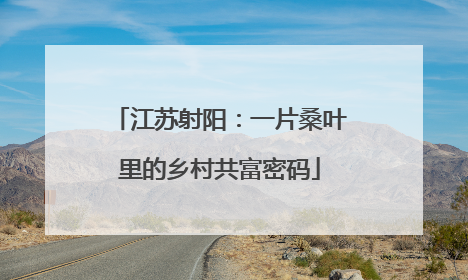 江苏射阳：一片桑叶里的乡村共富密码