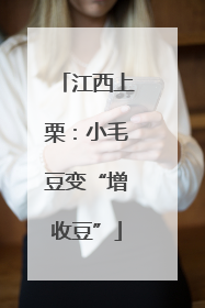 江西上栗：小毛豆变“增收豆”