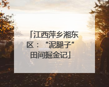 江西萍乡湘东区：“泥腿子”田间掘金记
