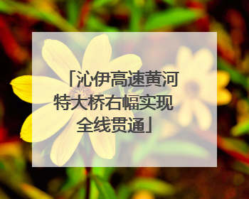 沁伊高速黄河特大桥右幅实现全线贯通