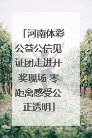 河南体彩公益公信见证团走进开奖现场 零距离感受公正透明