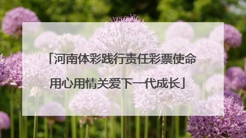 河南体彩践行责任彩票使命 用心用情关爱下一代成长