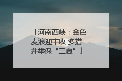 河南西峡：金色麦浪迎丰收 多措并举保“三夏”