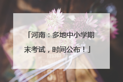河南：多地中小学期末考试，时间公布！