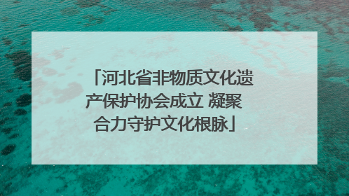 河北省非物质文化遗产保护协会成立 凝聚合力守护文化根脉