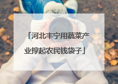 河北丰宁用蔬菜产业撑起农民钱袋子