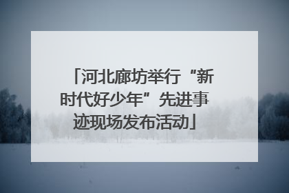 河北廊坊举行“新时代好少年”先进事迹现场发布活动