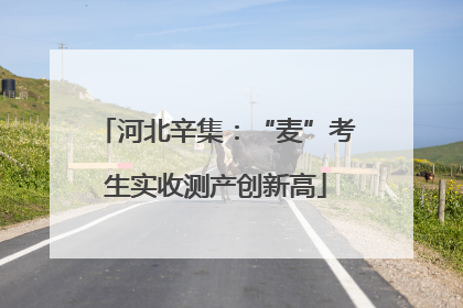 河北辛集：“麦”考生实收测产创新高