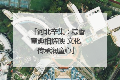 河北辛集：粽香童趣相辉映 文化传承润童心