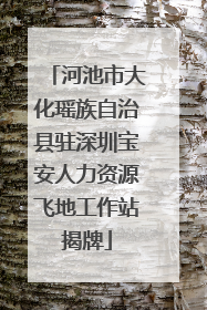 河池市大化瑶族自治县驻深圳宝安人力资源飞地工作站揭牌
