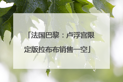 法国巴黎：卢浮宫限定版拉布布销售一空