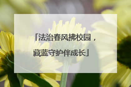 法治春风拂校园，藏蓝守护伴成长