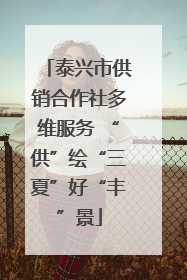 泰兴市供销合作社多维服务 “供”绘“三夏”好“丰”景